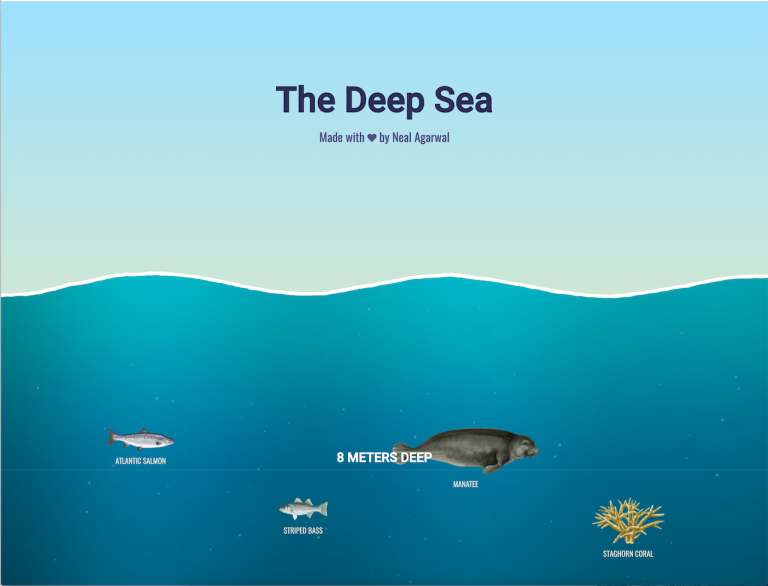 The Deep Sea