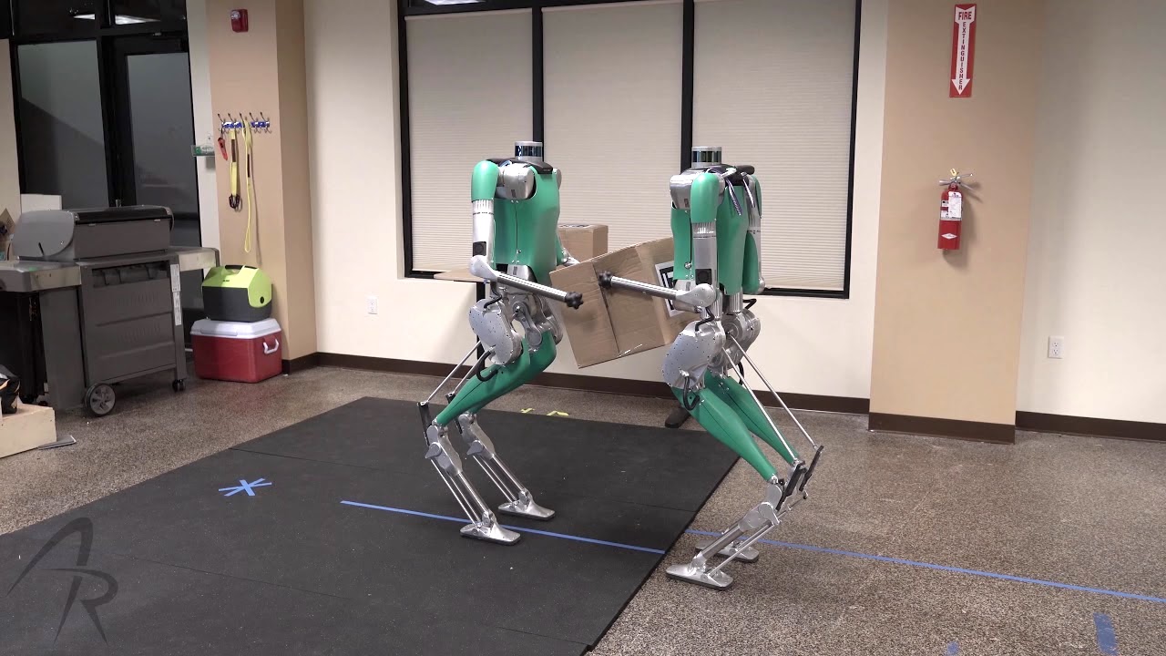 Twin-Bipedal-Robots.jpg