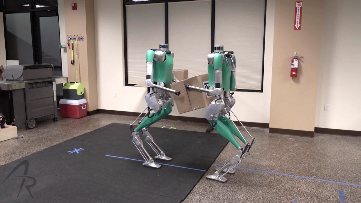 Twin Bipedal Robots