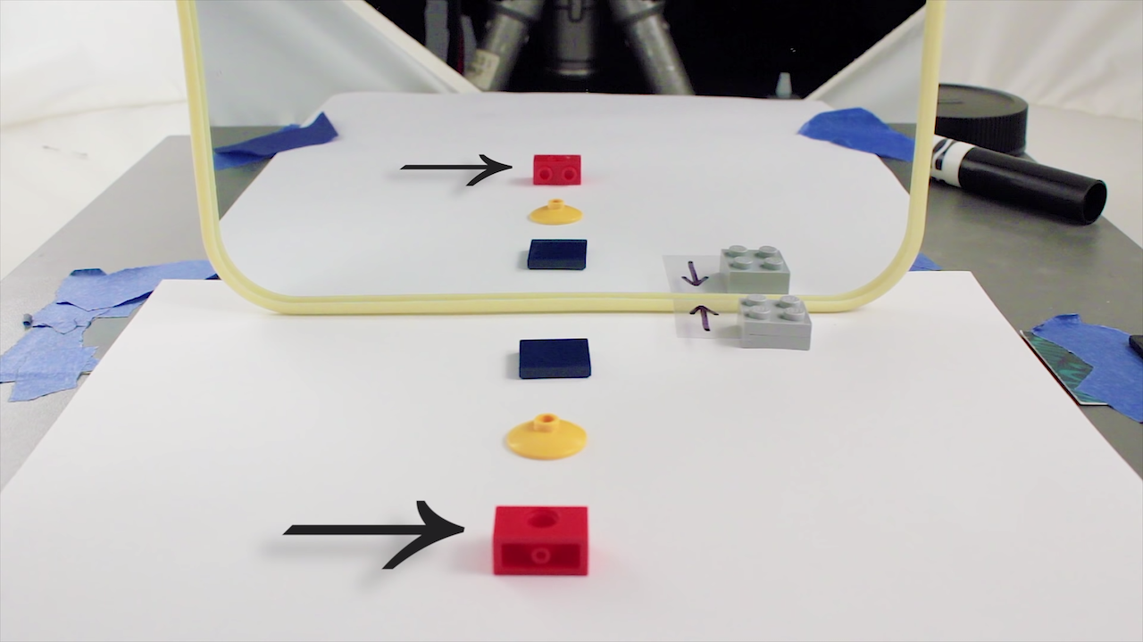 Why Mirrors Don T Actually Flip The Letters In A Word