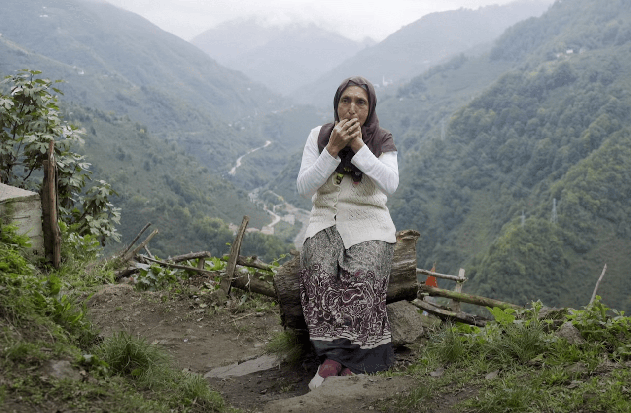 The Whistling Bird Language of the Turkish Mountains
