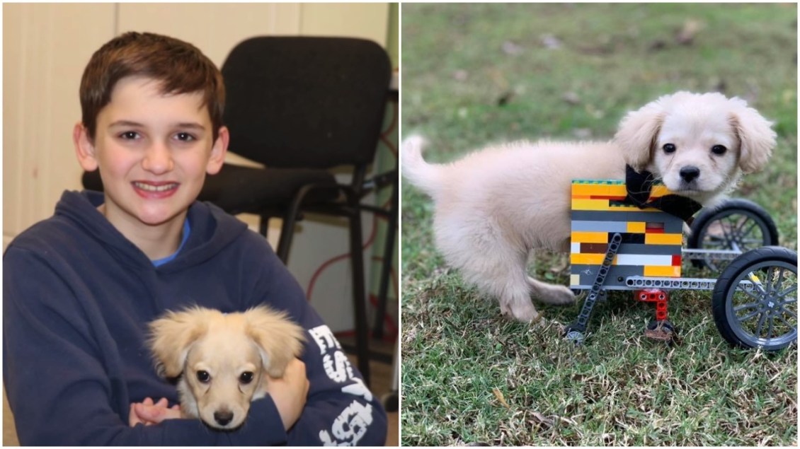 12 Year Old Makes LEGO Wheelchair for Puppy