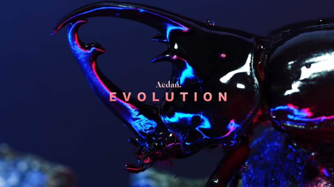 Aedan Evolution Video