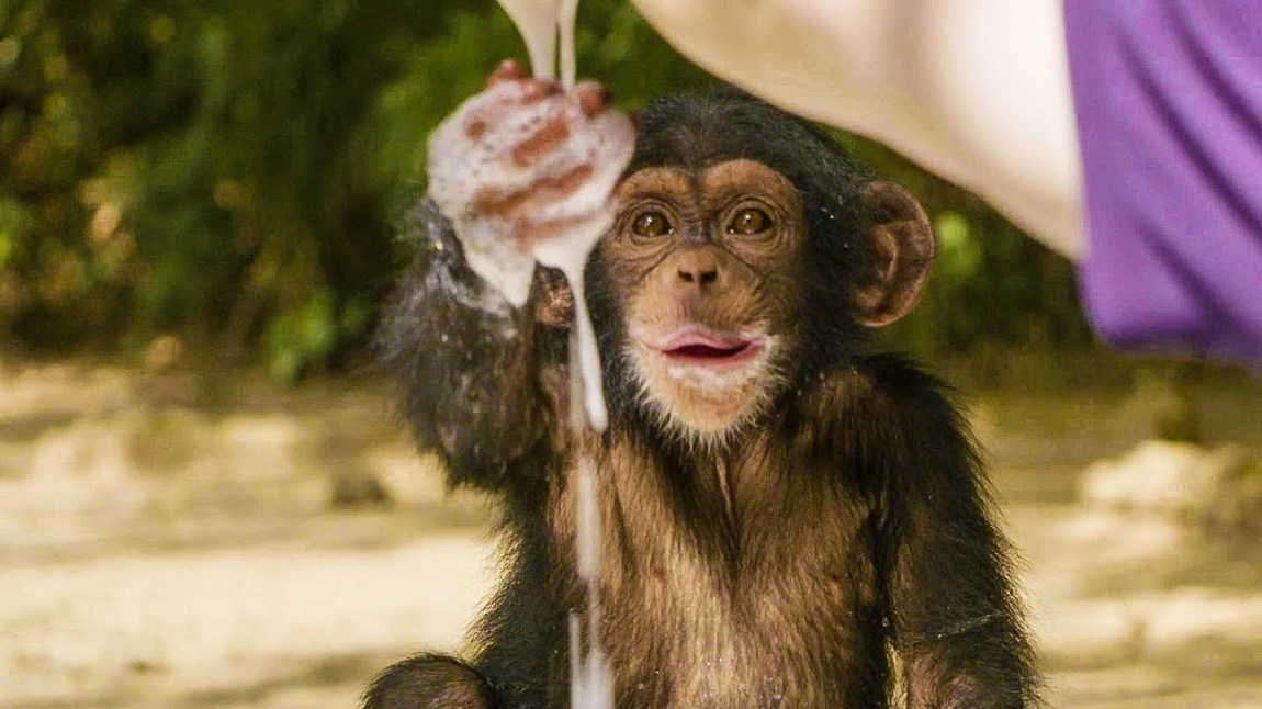 Baby Chimp and Bubbles
