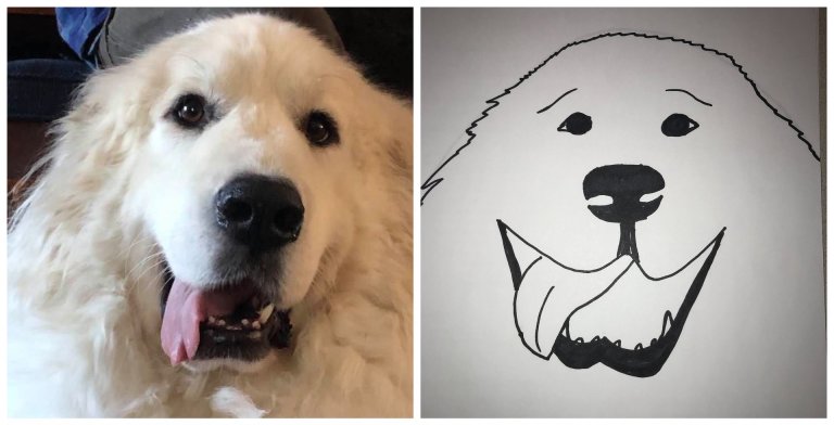 Dog Drawing