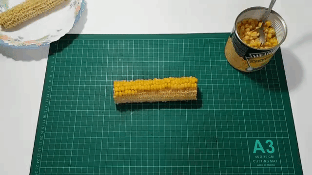Reverse Engineering Canned Corn