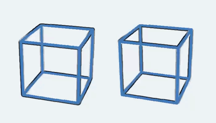 Locuinţă În mila lui Bretele  Incredible Optical Illusion That Makes Two Blue Boxes Appear to Rotate When  the Background Changes