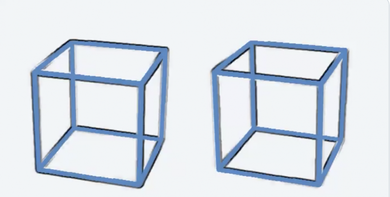 Reverse Phi Cube Illusion