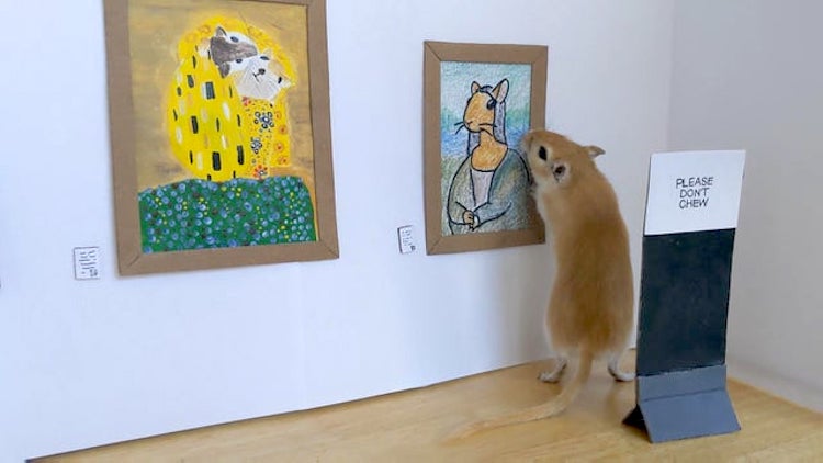 Gerbil-Art-Gallery.jpg