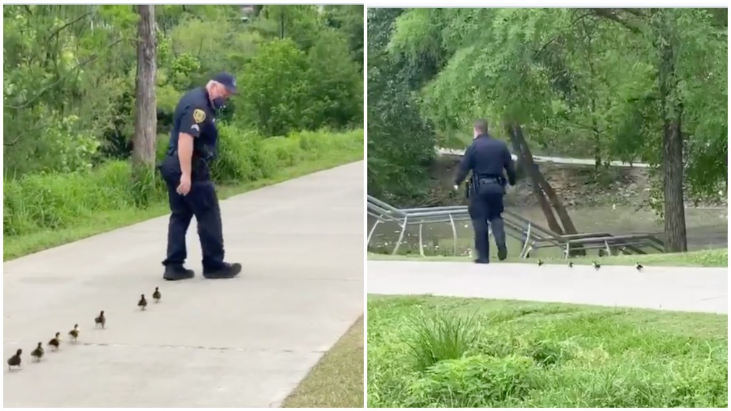 Houston Police Escort Ducklings