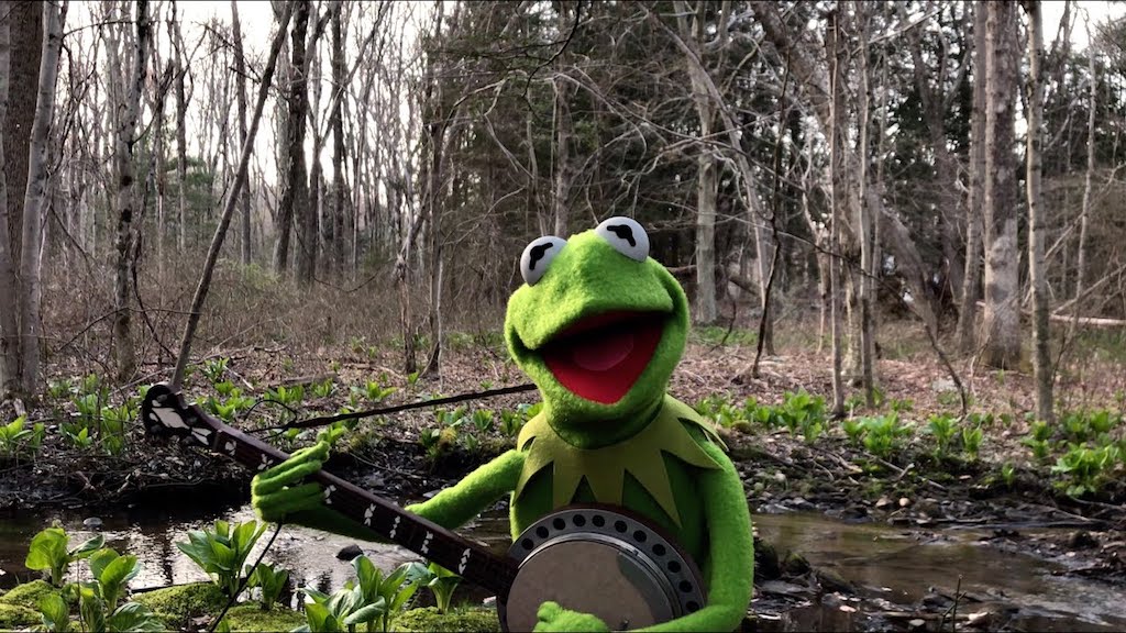 Kermit-the-Frog-Rainbow-Connection.jpg