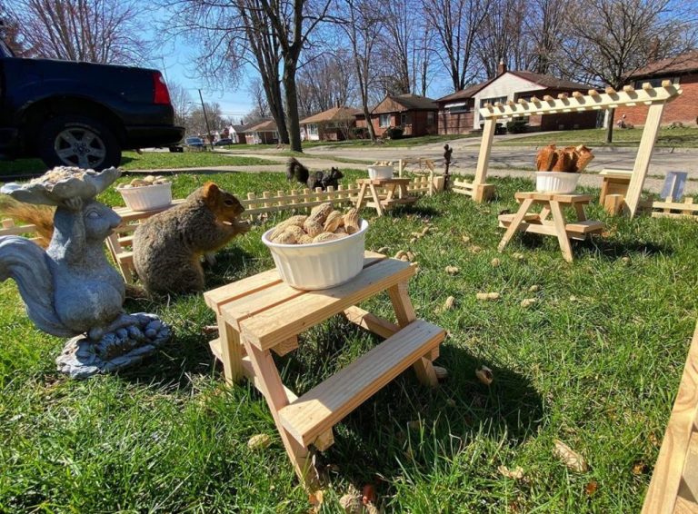 Tiny Alfresco Cafe for Birds and Squirrels