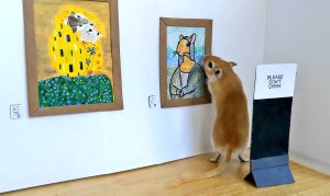 Tiny Gerbil Art Gallery