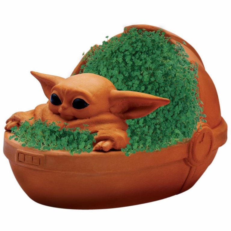 Baby Yoda Chia Pet