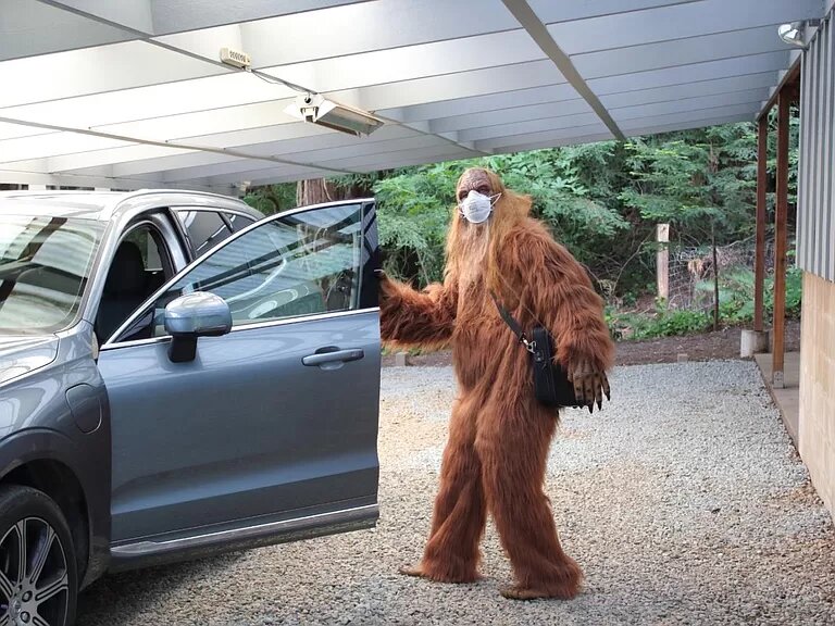 Real Estate Listing Features Photos of Bigfoot Selling His Felton