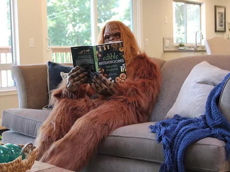 Real Estate Listing Features Photos of Bigfoot Selling His Felton