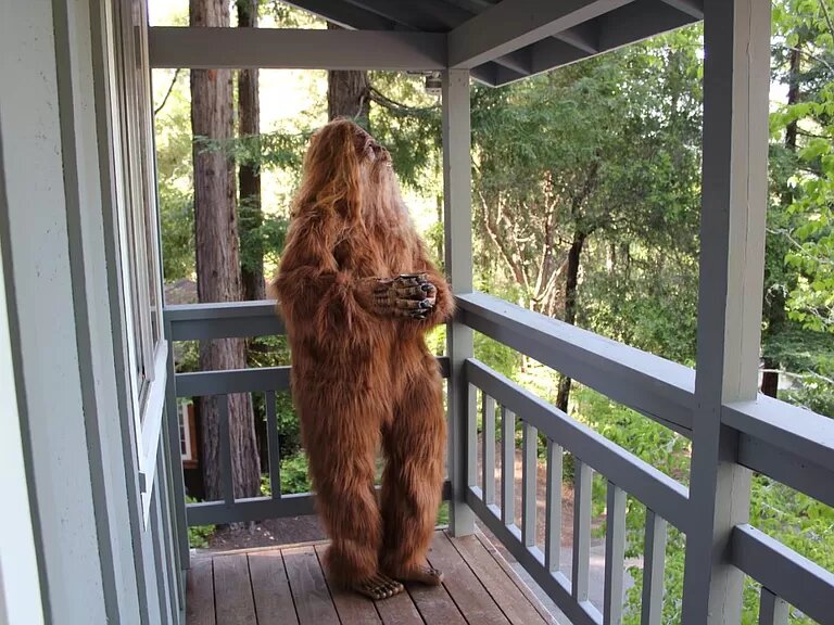 Bigfoot Sells Felton Home Porch