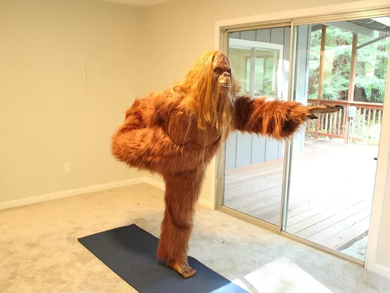 Real Estate Listing Features Photos of Bigfoot Selling His Felton