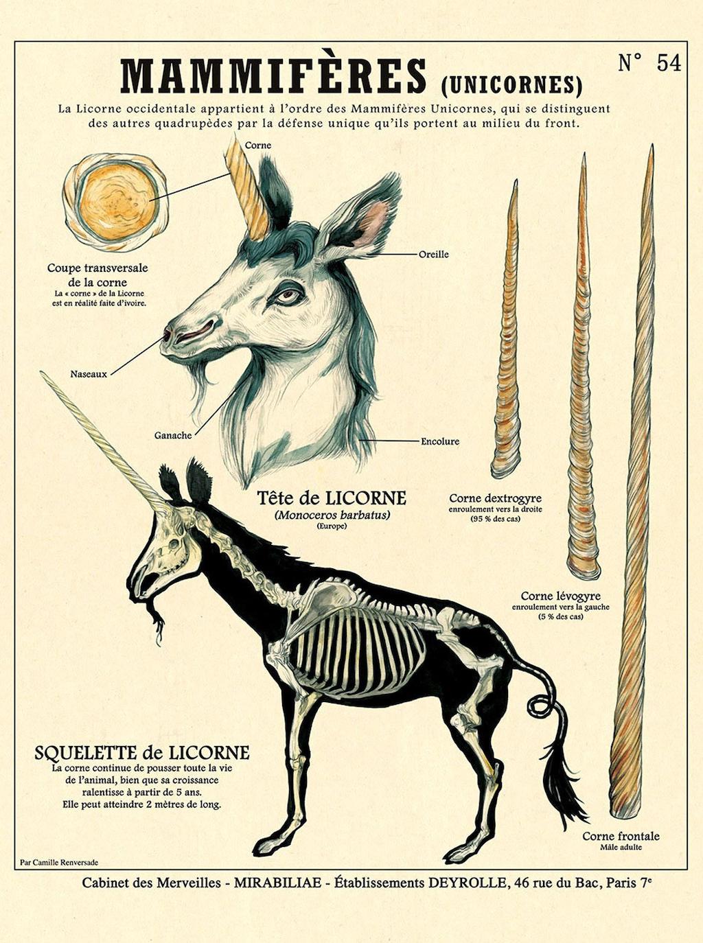 Creature Chart Unicorn