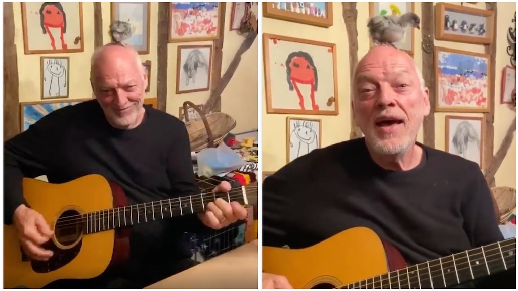 David Gilmour Rehearses With Chick on Head