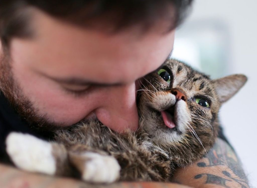 Lil Bub and Mike