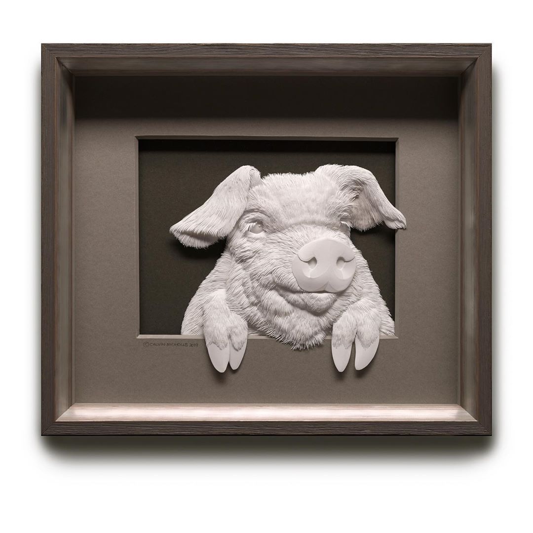 Low Relief Paper Sculpture Pig Calvin Nicholls