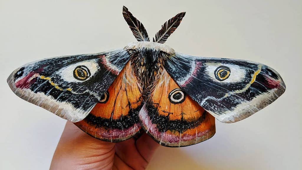 The-Wandering-Beetle-Paper-Butterfly.jpg