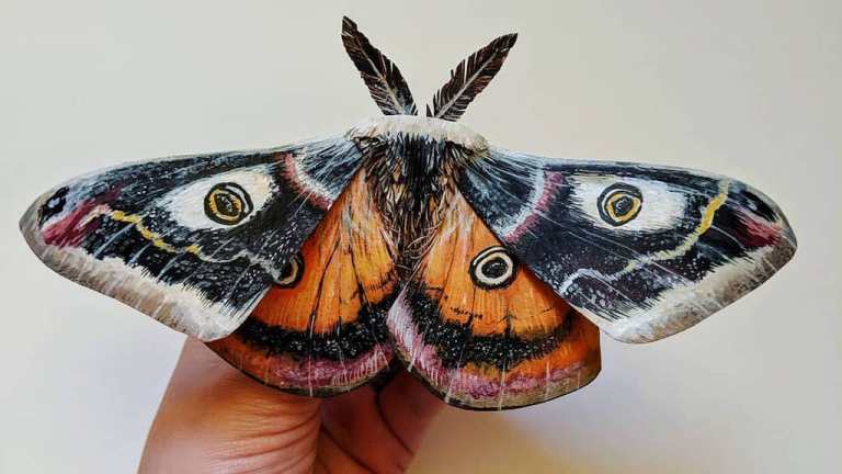 The Wandering Beetle Paper Butterfly