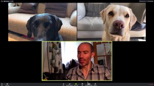Video Chat With Olive and Mabel Dogs