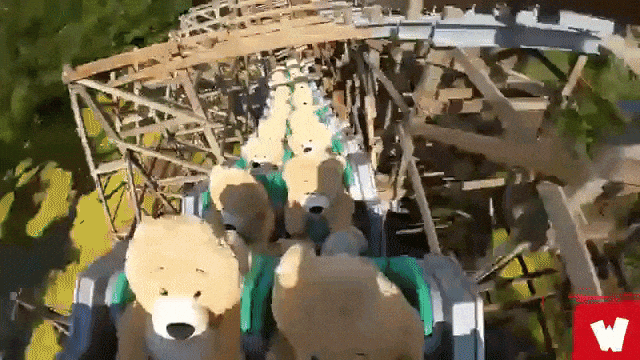 22 Plush Teddy Bears Go on Rollercoaster