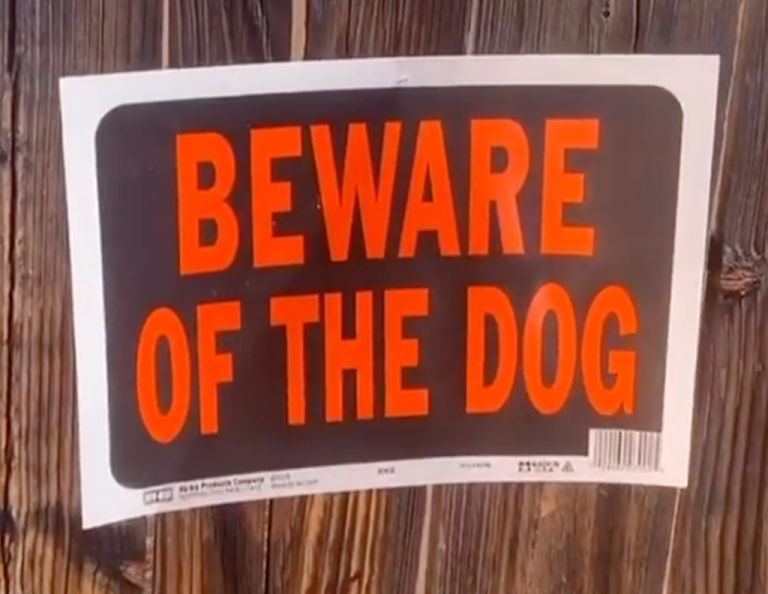 Beware of the Dog