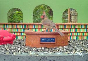 Bird Feeder Library