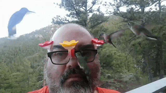 Hummingbird Feeder Eyeglasses