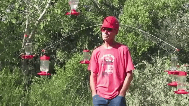 Hummingbird Helmet