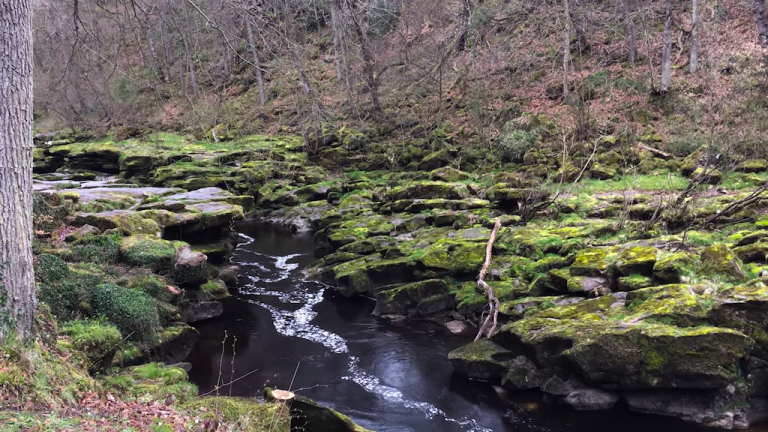 The Strid at Bolton Abbey