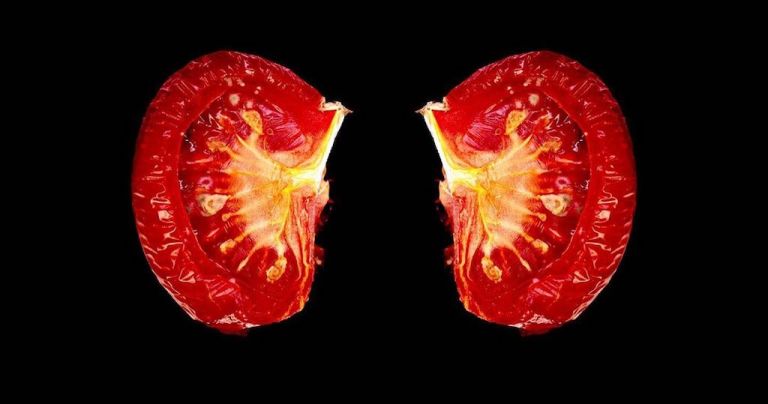 Tomato Lungs Thomas Blanchard