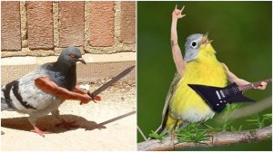 Birds With Arms Sword Ax