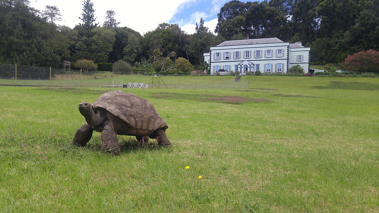 A Seychelles Giant Tortoise Named Jonathan Is the Oldest Known Living ...