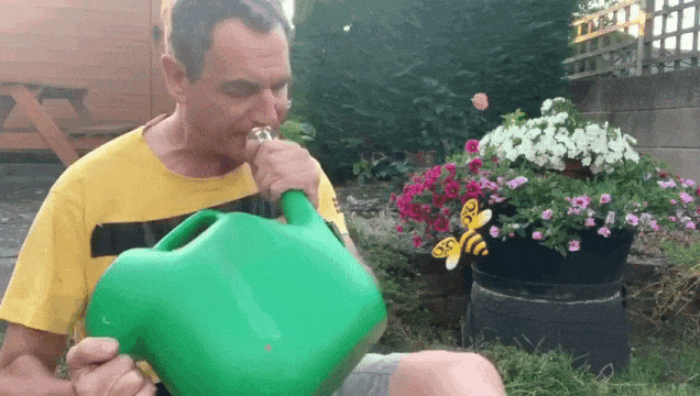 Flight of Bumblebees on Watering Can