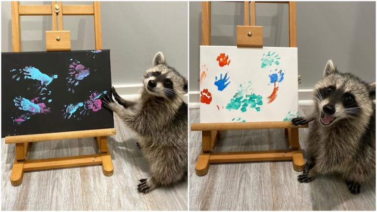 Piper Pawprint Art