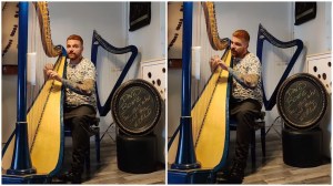 Harp Cover Man Who Sold the World