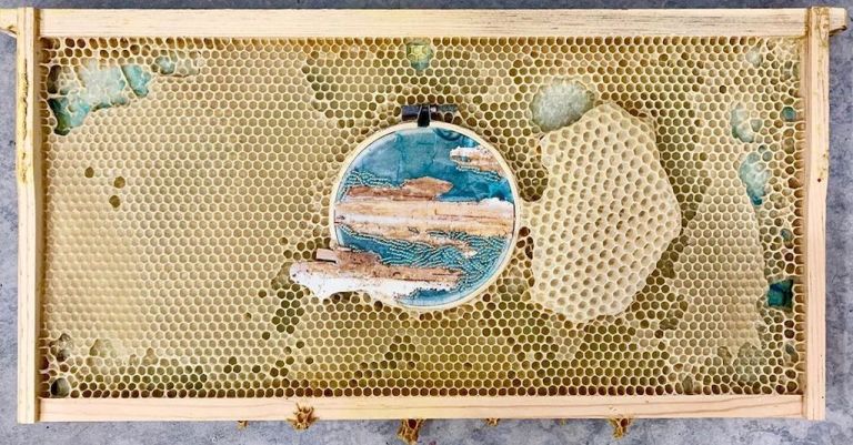 Honeycomb Art