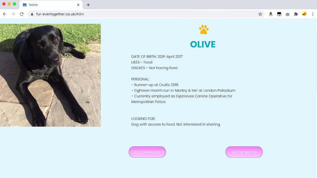 Olive Looking for Love