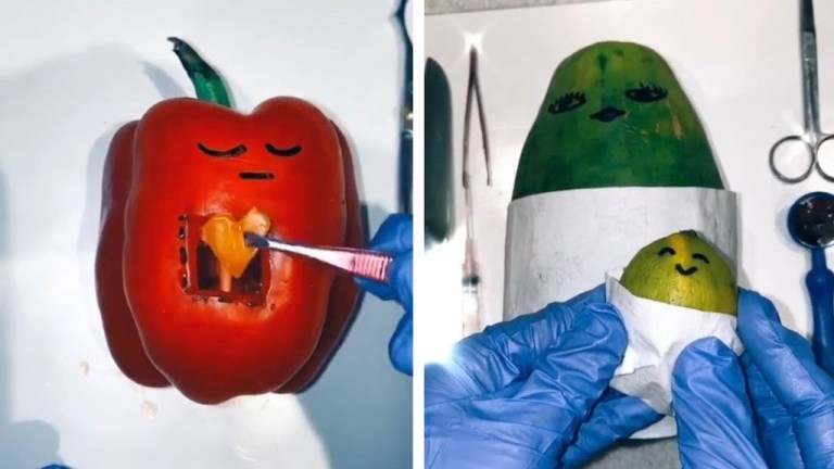 Produce Surgery