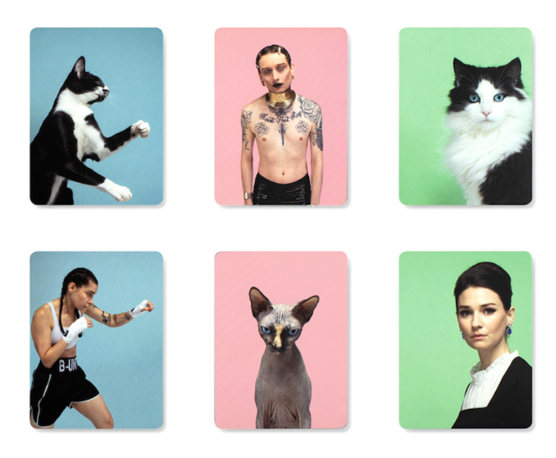 Do You Look Like Your Cat Cards