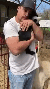 Baby Goats Line Up for Hugs