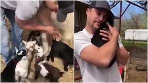 Baby Goats Line Up for Hugs