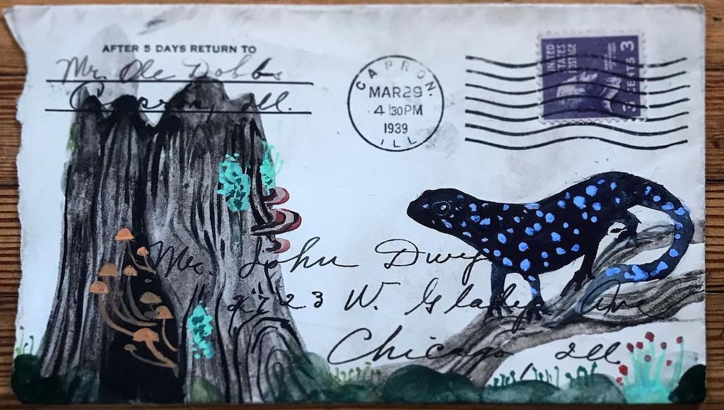 Diana Sudyka Envelope Illustrations