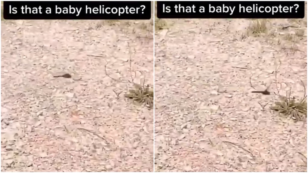 Dragonfly Baby Helicopter