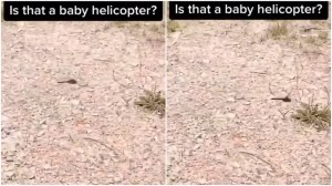 Dragonfly Baby Helicopter